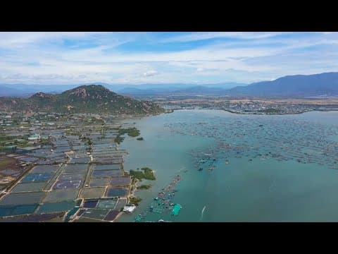 Đầm Nại: Vẻ đẹp thanh bình bên những cánh quạt gió - Hình 1