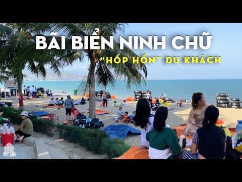 Biển Ninh Chữ: Vòng cung xanh êm đềm giữa miền nắng gió - Hình 1