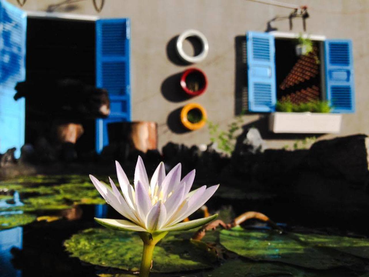 Escape the Hustle: Acoustic Cafe with Coastal Charm - Hình 2