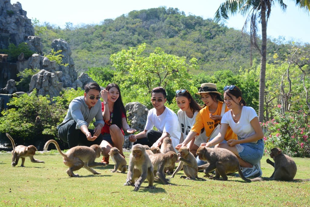 Discover Monkey Island - Where Nature and Endless Joy Meet - Hình 2