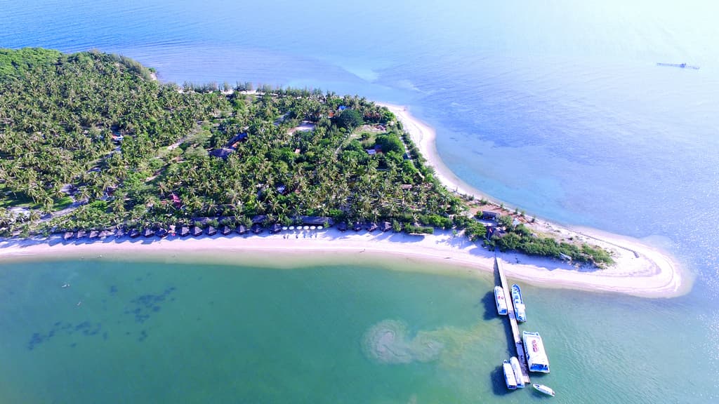Discover Monkey Island - Where Nature and Endless Joy Meet - Hình 4
