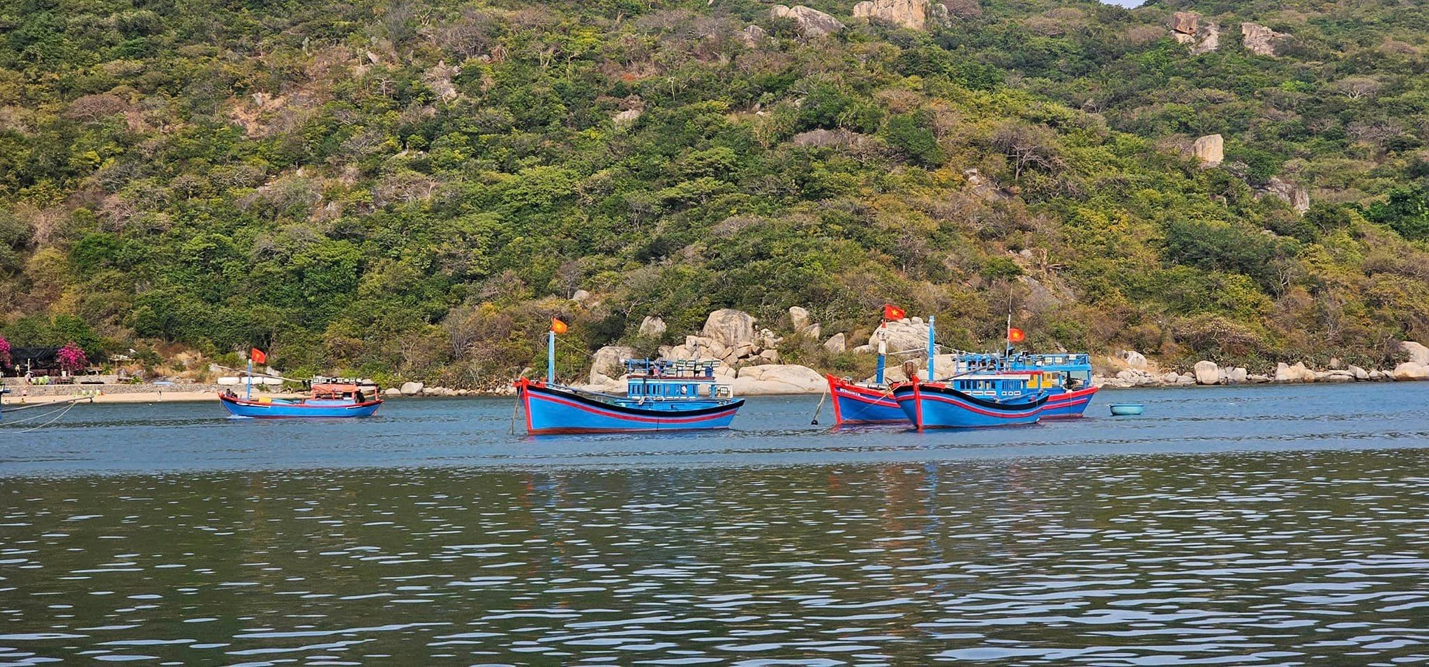 Vịnh Vĩnh Hy: Thiên đường biển hoang sơ thơ mộng - Hình 9