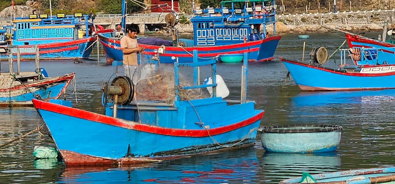 Vịnh Vĩnh Hy: Thiên đường biển hoang sơ thơ mộng - Hình 12