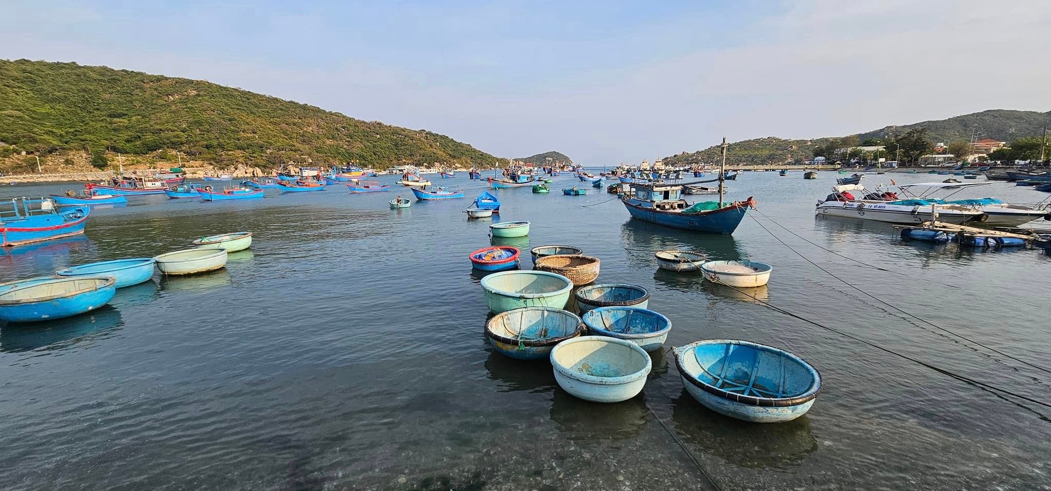 Vịnh Vĩnh Hy: Thiên đường biển hoang sơ thơ mộng - Hình 8