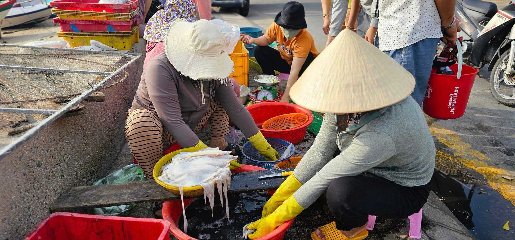 Vịnh Vĩnh Hy: Thiên đường biển hoang sơ thơ mộng - Hình 7