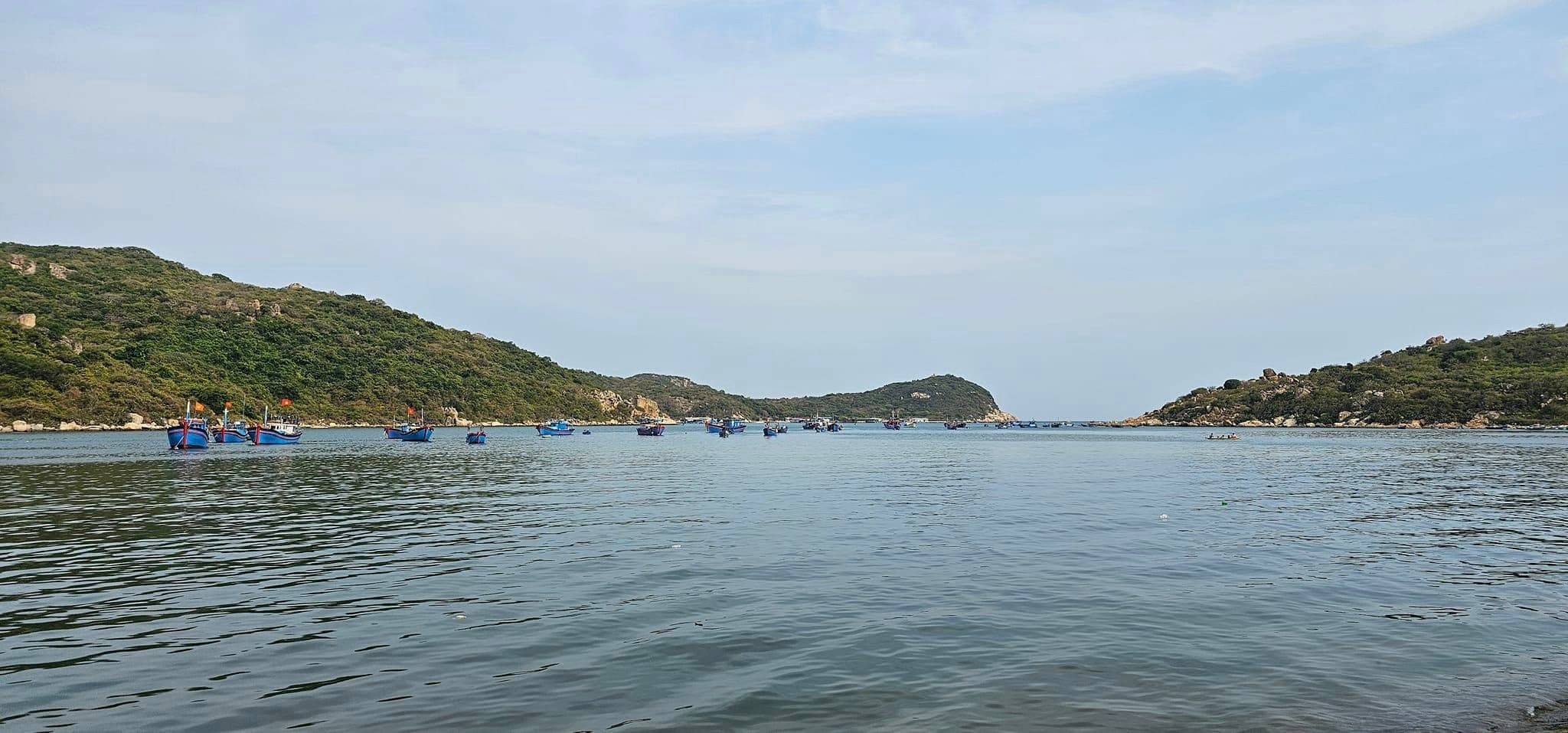 Vịnh Vĩnh Hy: Thiên đường biển hoang sơ thơ mộng - Hình 15