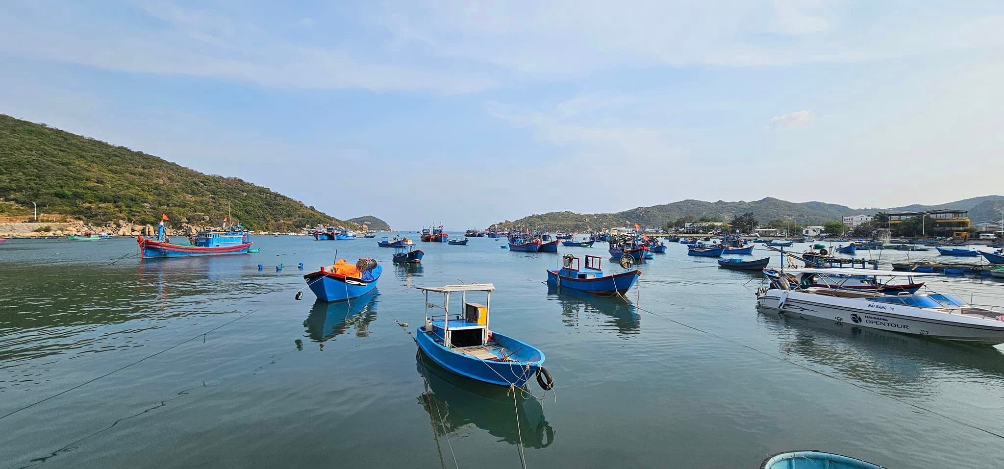 Vịnh Vĩnh Hy: Thiên đường biển hoang sơ thơ mộng - Hình 3