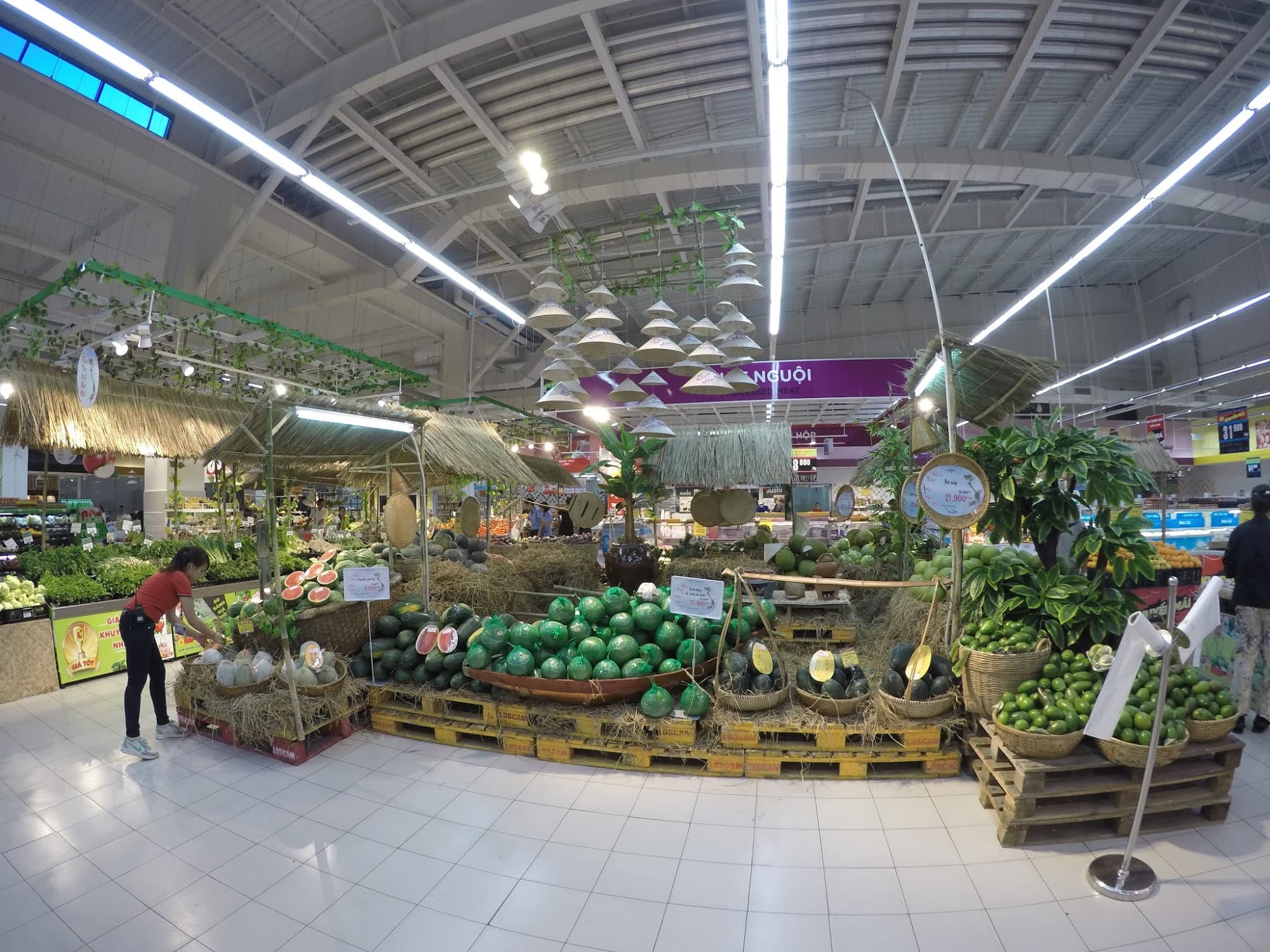 Big C Nha Trang: A Complete Shopping Experience. - Hình 2