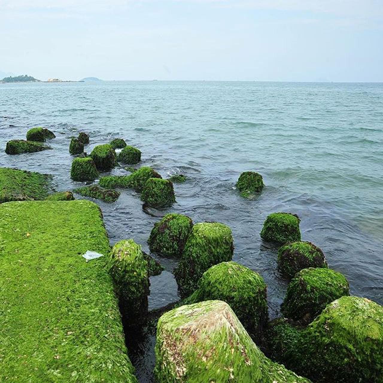 Nha Trang View Restaurant: Exquisite Cuisine with Breathtaking Views - Hình 3