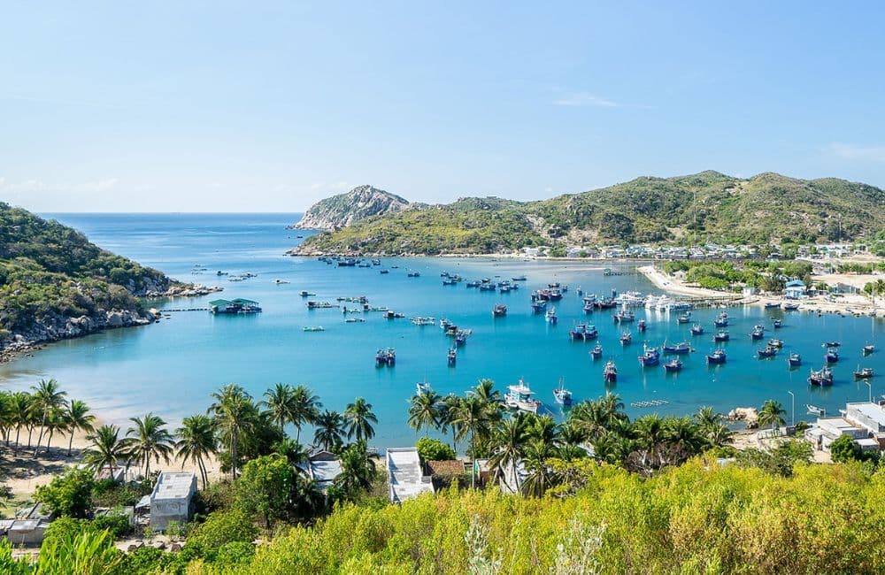 Biển Ninh Chữ: Vòng cung xanh êm đềm giữa miền nắng gió - Hình 3