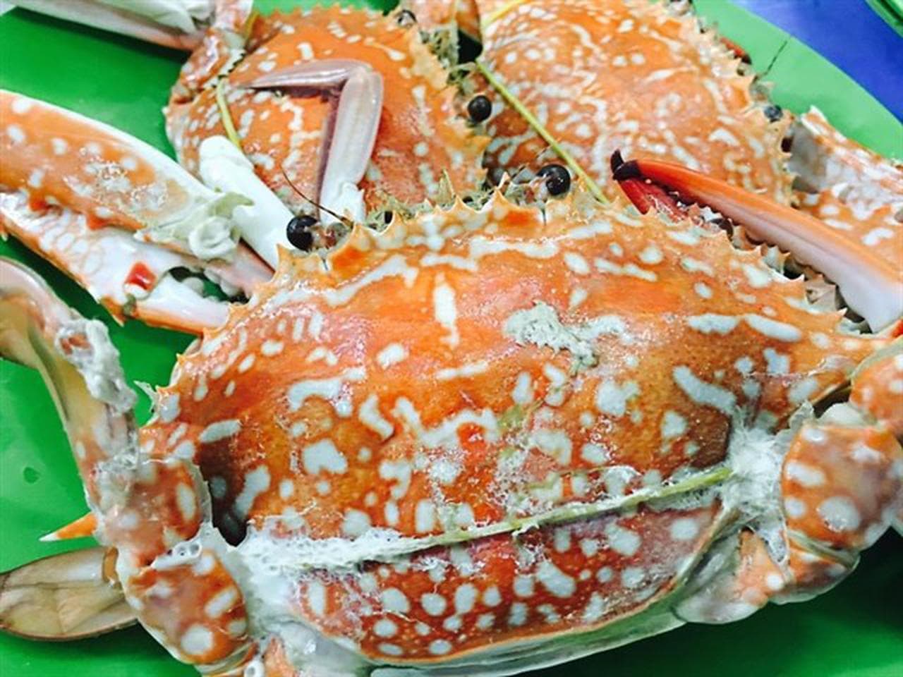 Hành Trình Thưởng Thức Hải Sản Ngon Chất Lượng Tại Nha Trang - Hình 6