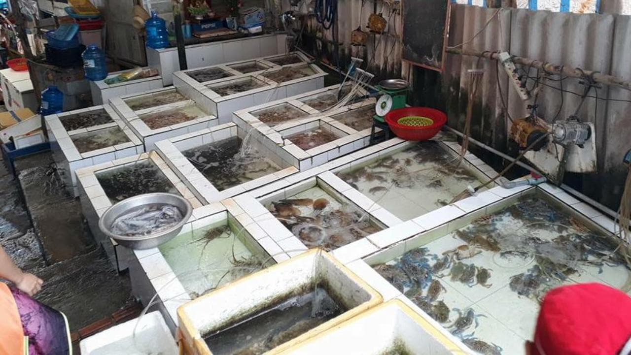 Seafood Restaurant Tidal Wave: A Culinary Journey in Cam Ranh - Hình 7