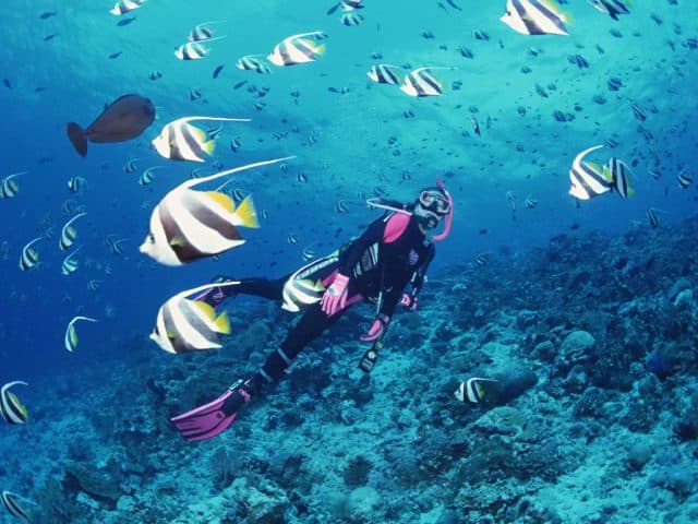 Sealife Nha Trang: An Unmissable Sea Adventure! - Hình 4