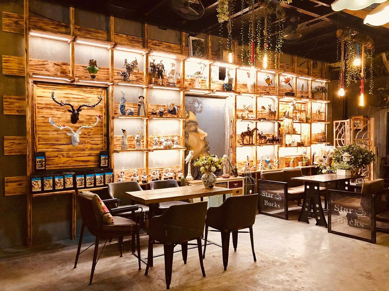 Jungle Coffee: A Green Oasis on Lê Quý Đôn Street - Hình 3