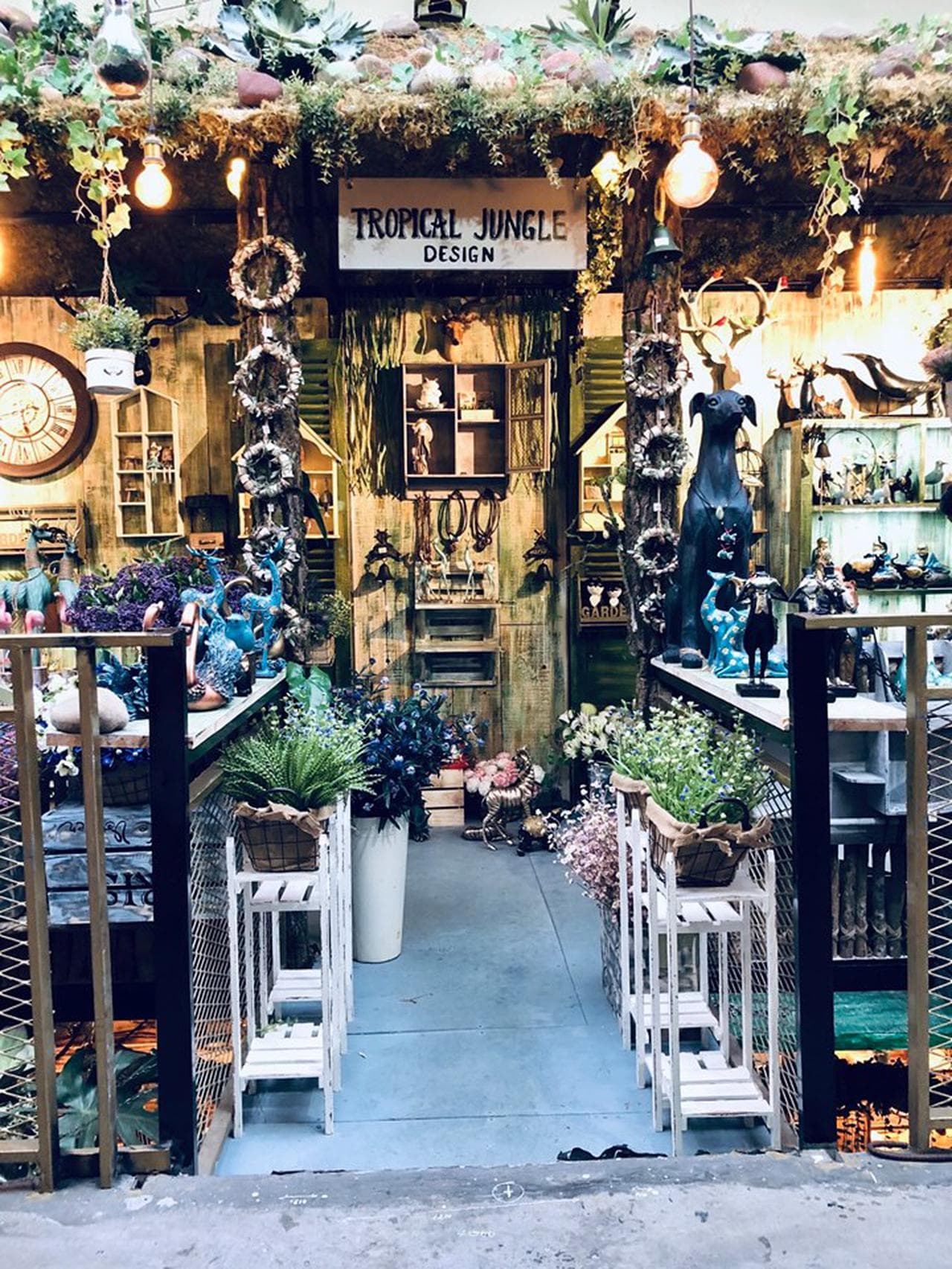 Jungle Coffee: A Green Oasis on Lê Quý Đôn Street - Hình 1