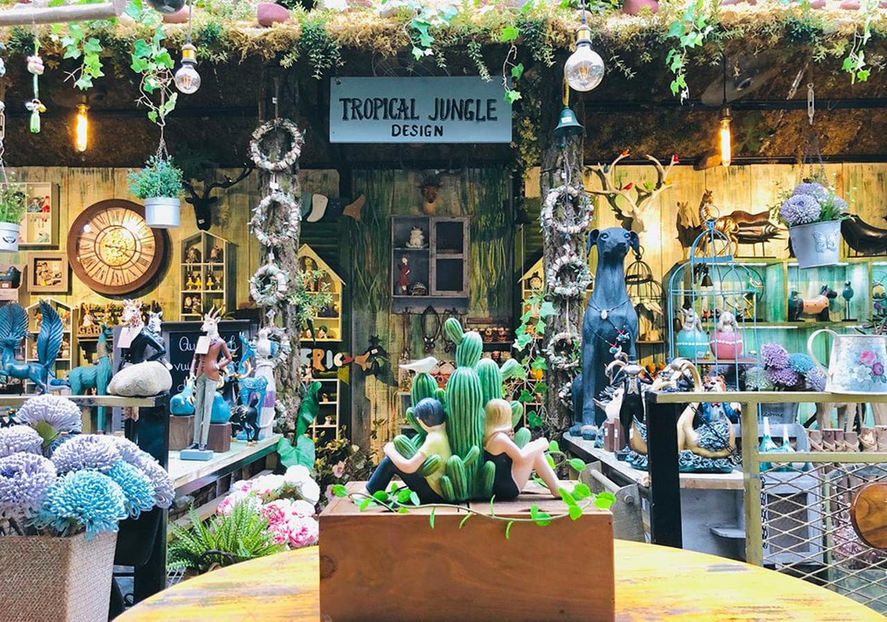 Jungle Coffee: A Green Oasis on Lê Quý Đôn Street - Hình 8