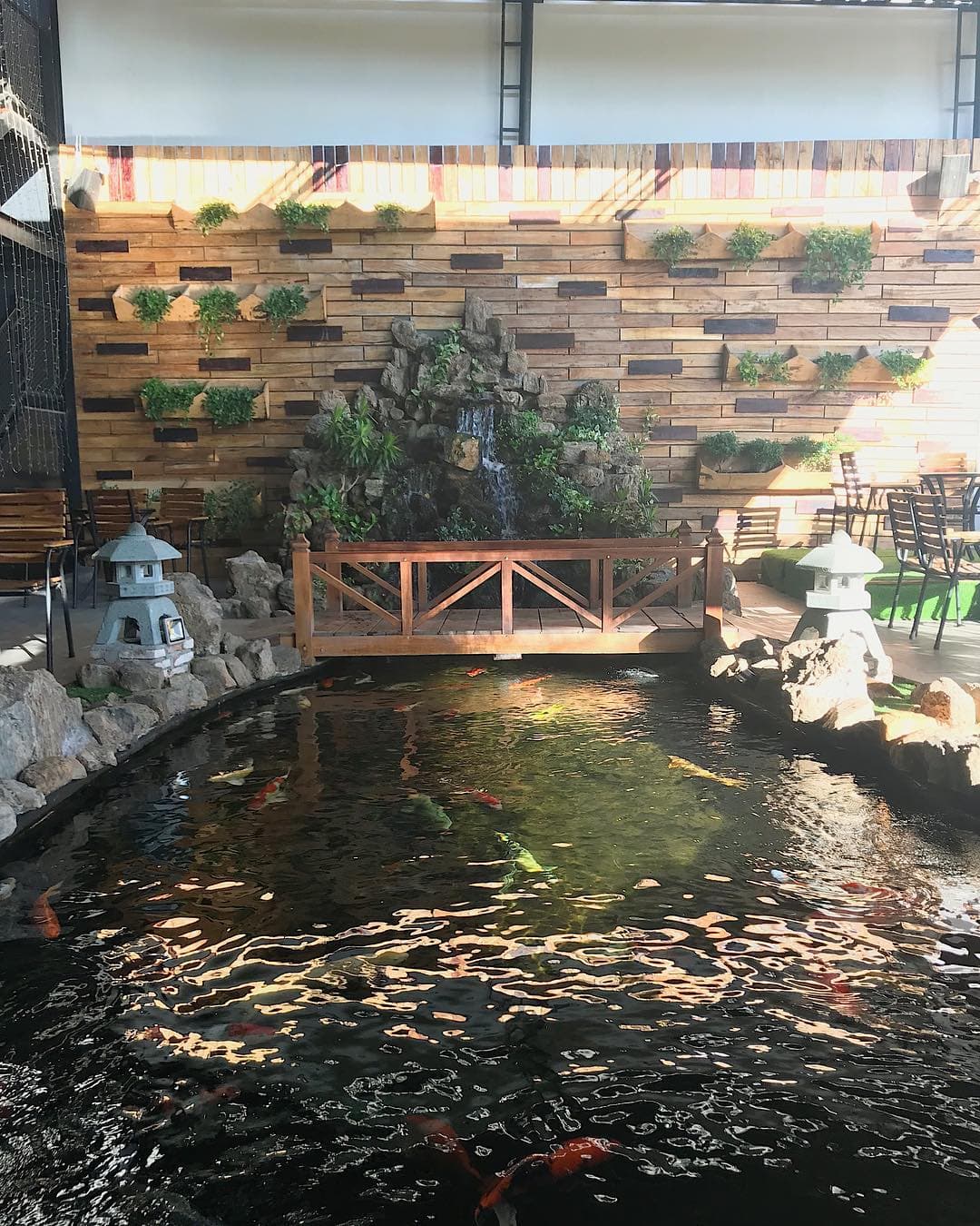 Koi Cafe: Không gian thoáng đãng, ly cà phê thơm ngon - Hình 4