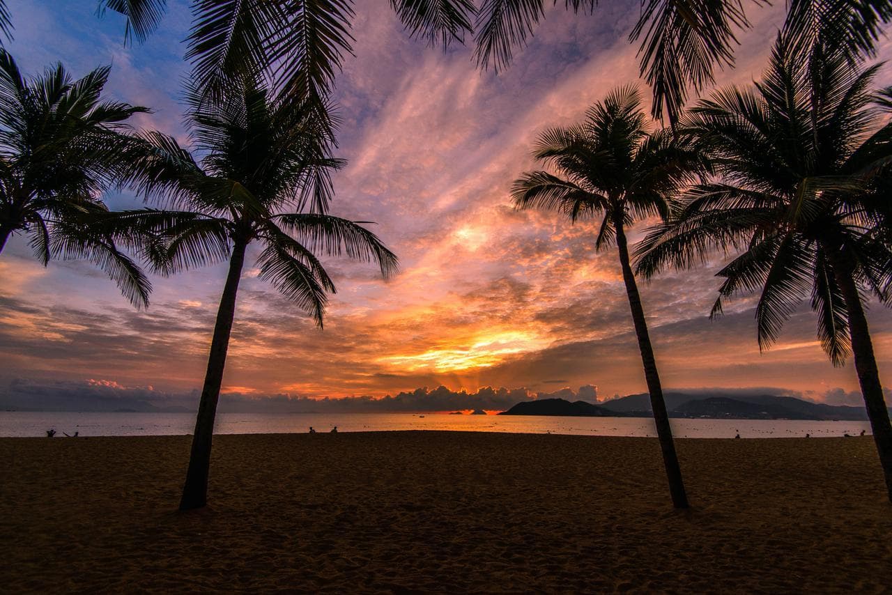 Nha Trang Bay: a paradise for nature lovers and adventure seekers. - Hình 5