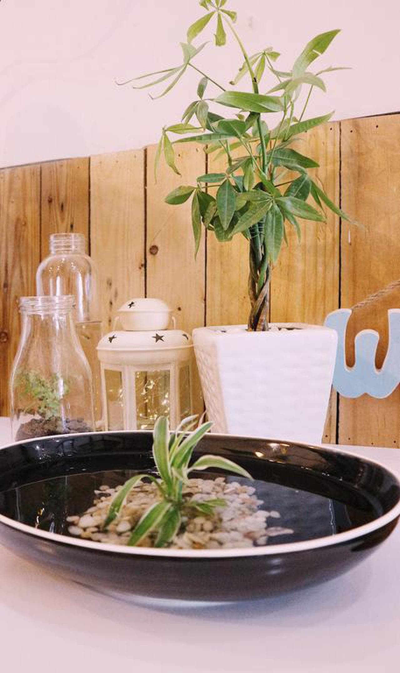 Vector Hostel: Your Ideal Stop for Exploring Nha Trang - Hình 5