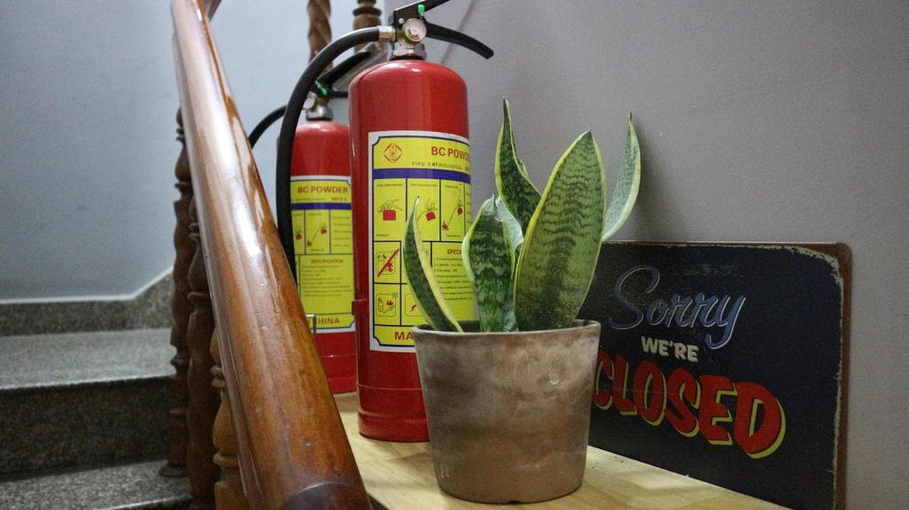 Vector Hostel: Your Ideal Stop for Exploring Nha Trang - Hình 9