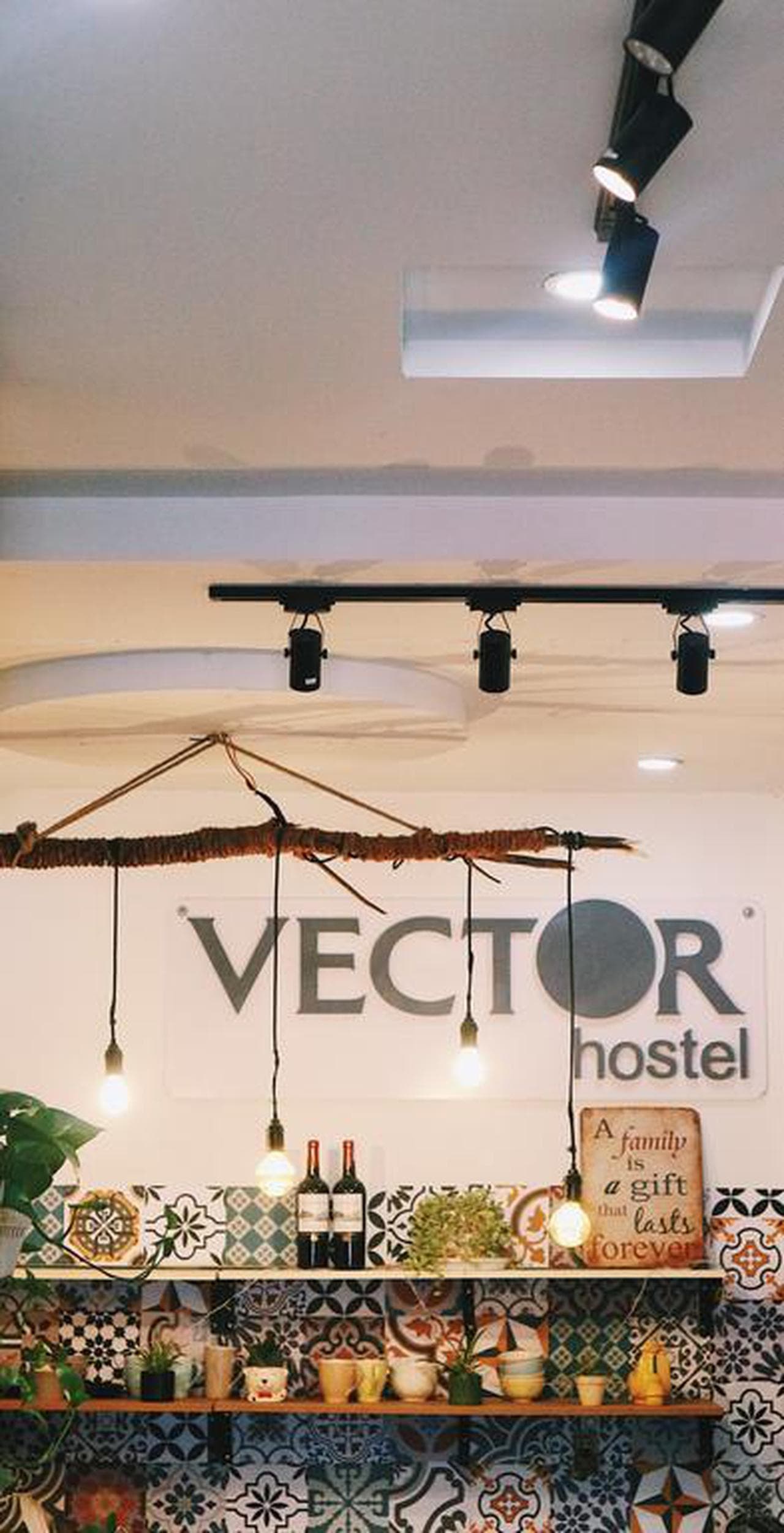 Vector Hostel: Your Ideal Stop for Exploring Nha Trang - Hình 17