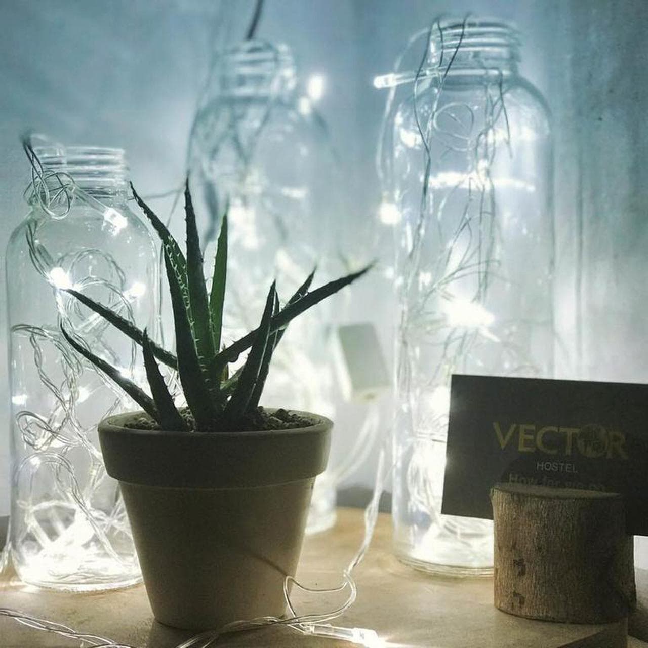 Vector Hostel: Your Ideal Stop for Exploring Nha Trang - Hình 29