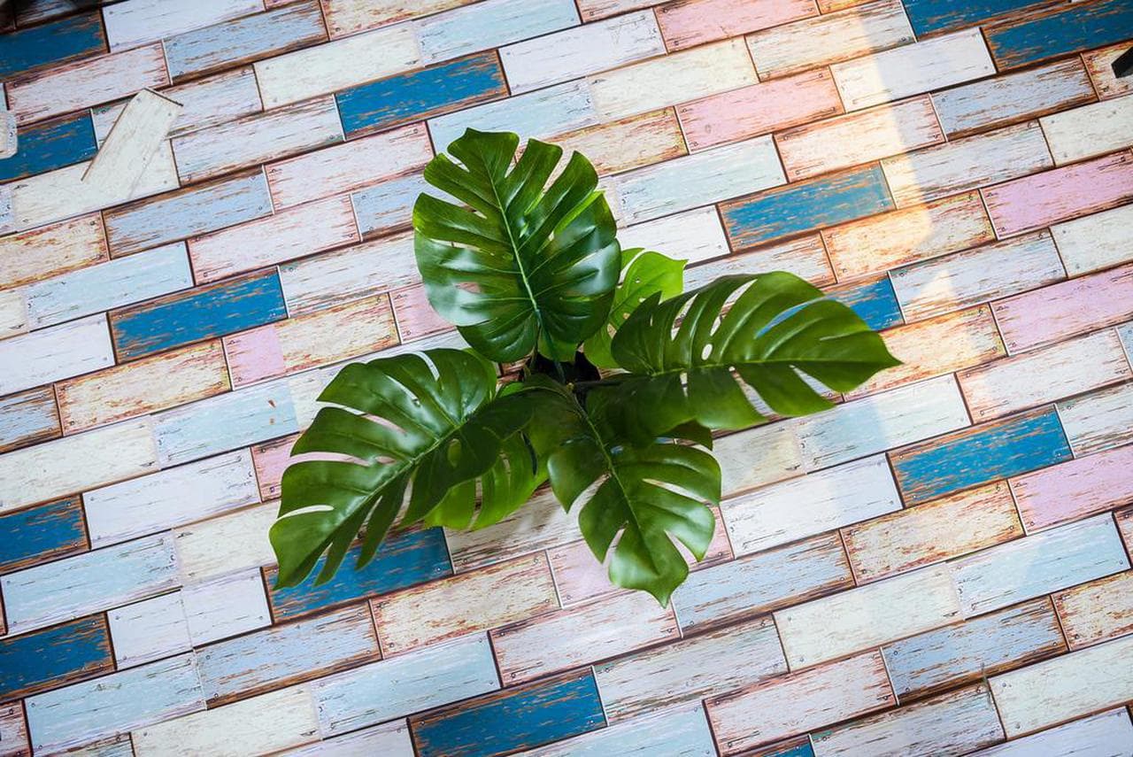 Taor Hostel: Nơi giao lưu văn hóa và tận hưởng biển Nha Trang - Hình 27