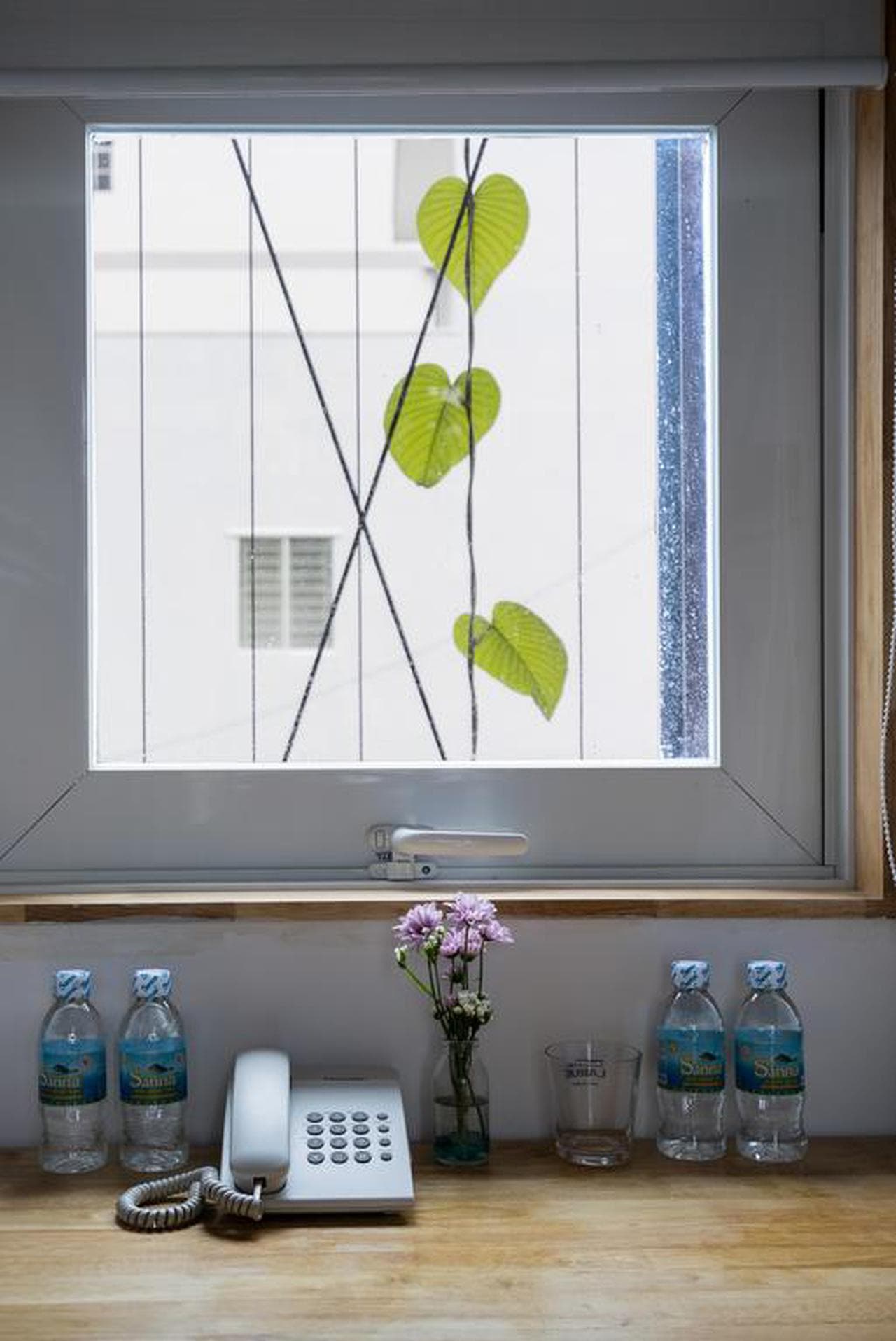 Ccasa Hostel: Your Home Away From Home in Nha Trang - Hình 15