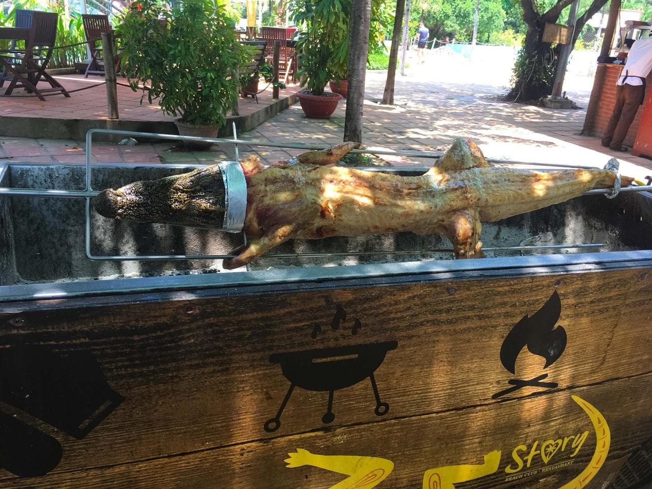 Công viên Phù Đổng: Thiên đường giải trí giữa lòng Nha Trang - Hình 4
