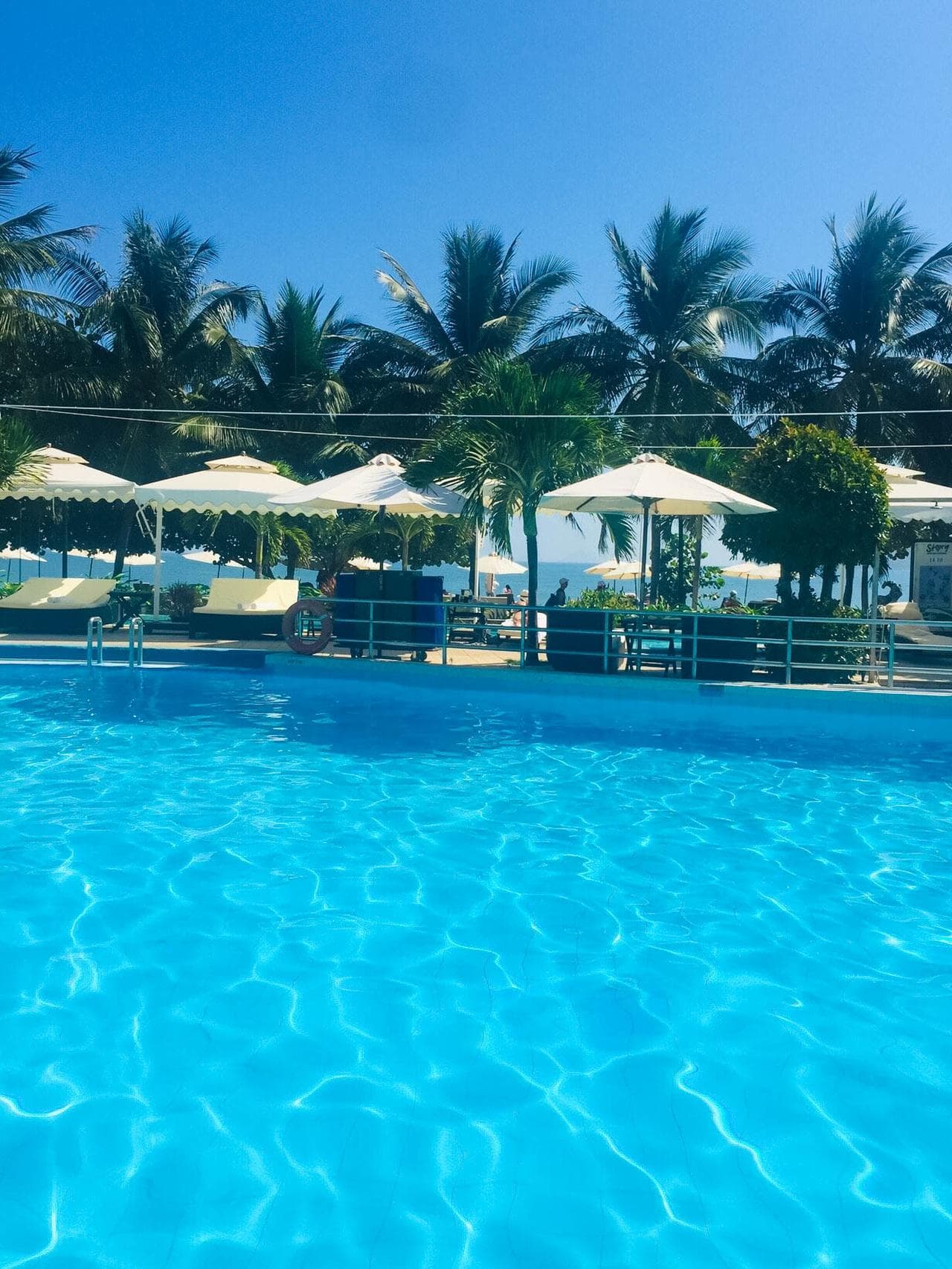 Công viên Phù Đổng: Thiên đường giải trí giữa lòng Nha Trang - Hình 1