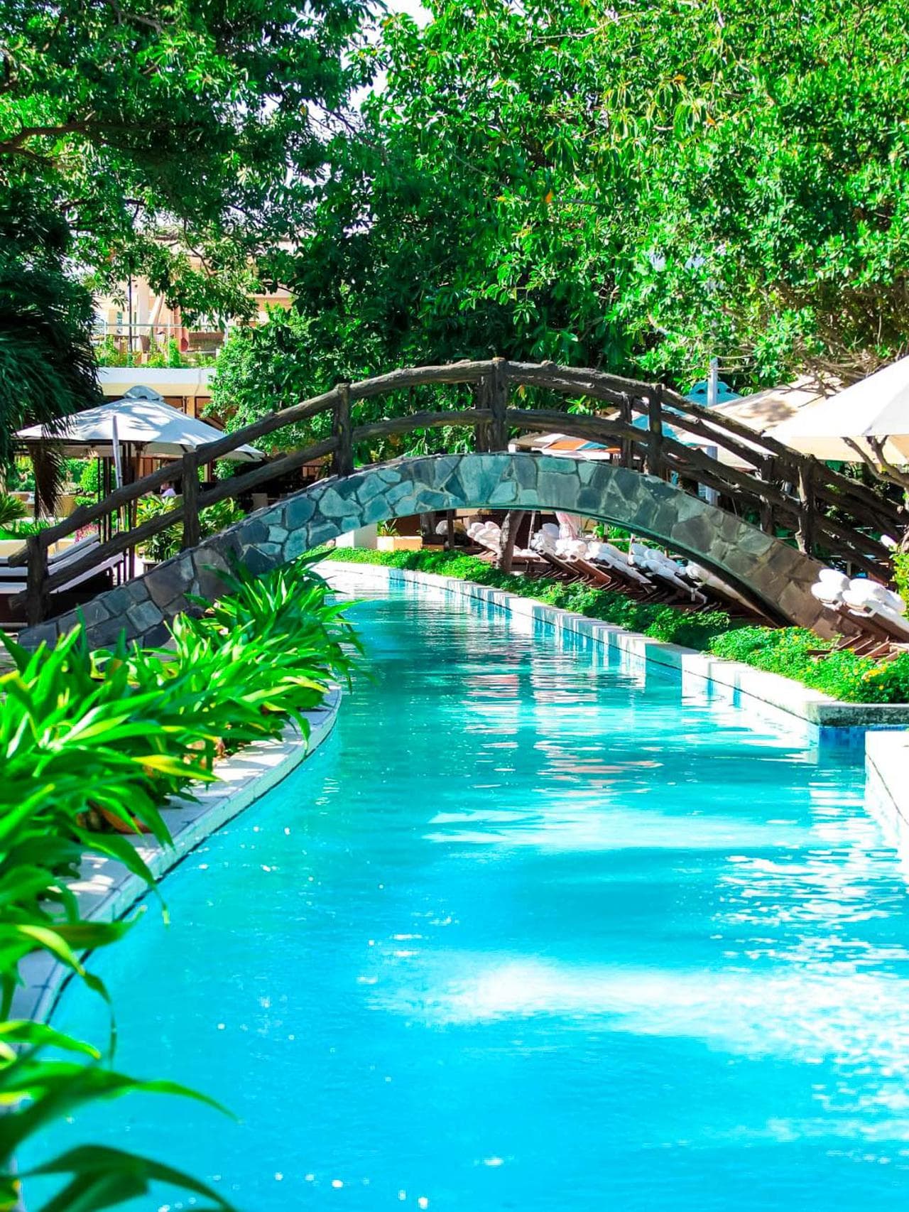 Công viên Phù Đổng: Thiên đường giải trí giữa lòng Nha Trang - Hình 24
