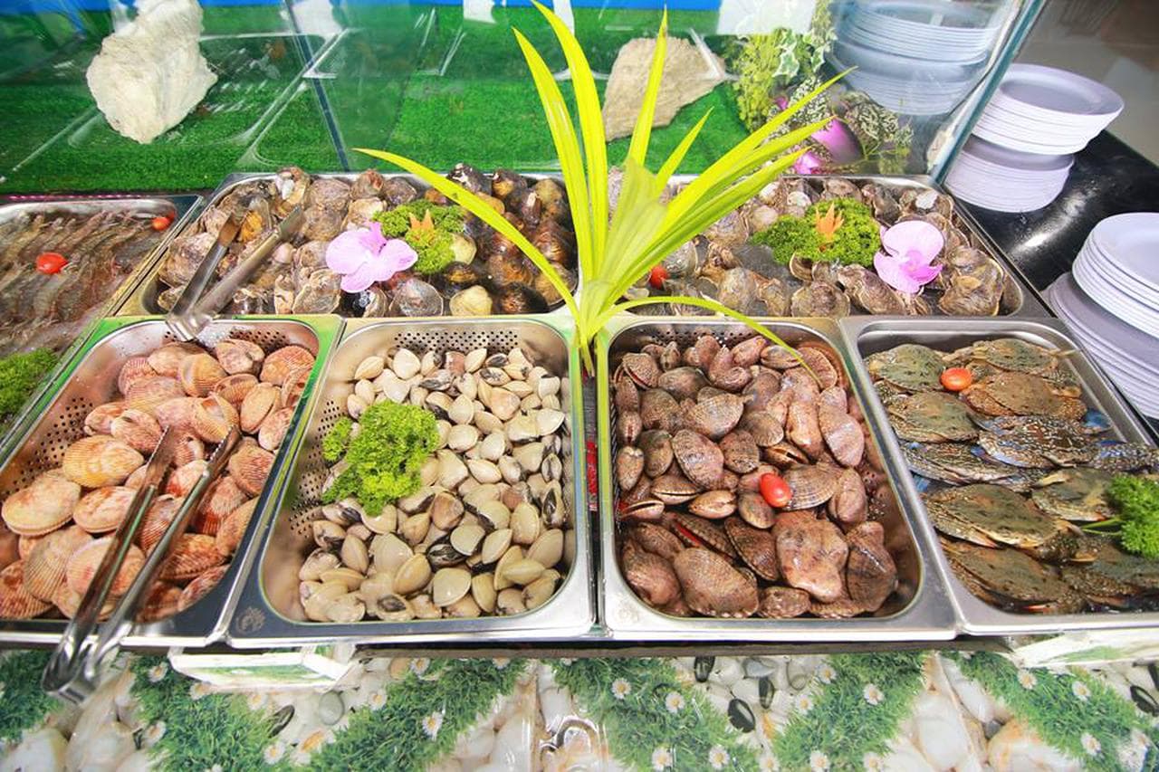 Hằng 66: Hải Sản Tuyệt Vời, Ngắm Biển Nha Trang Mê Hồn - Hình 4
