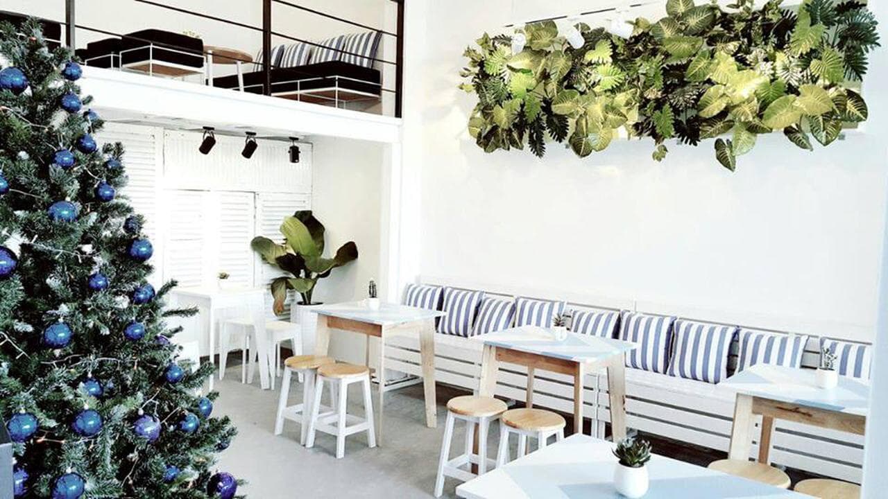 Sea 50.No Coffee: Pure White Charm and Sweet Delights - Hình 1