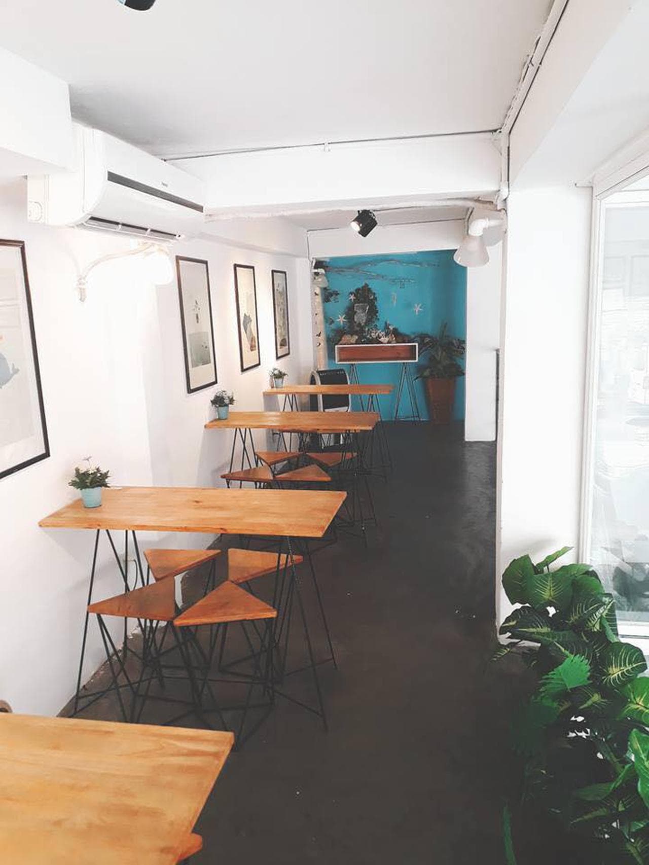 Sea 50.No Coffee: Pure White Charm and Sweet Delights - Hình 4
