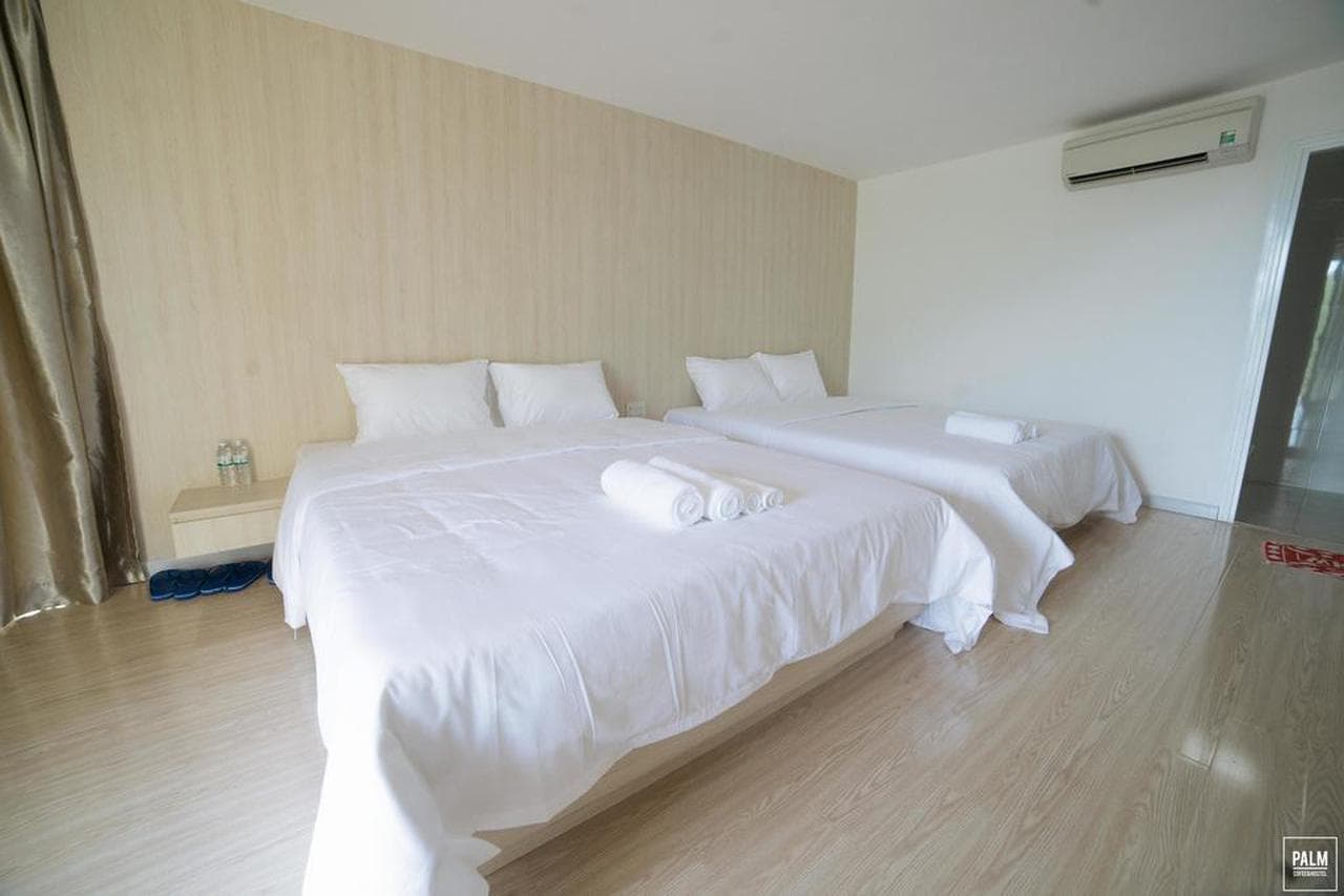 Palm Hostel & Coffee: Nơi dừng chân lý tưởng cho chuyến phiêu lưu Nha Trang - Hình 15