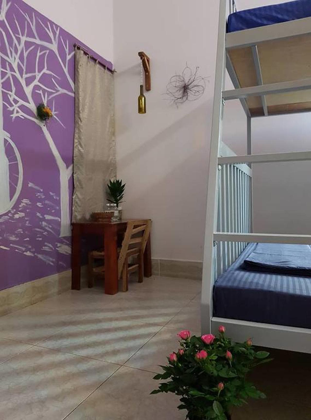 Little Home Hostel: Your Ideal Retreat for a Nha Trang Trip - Hình 22